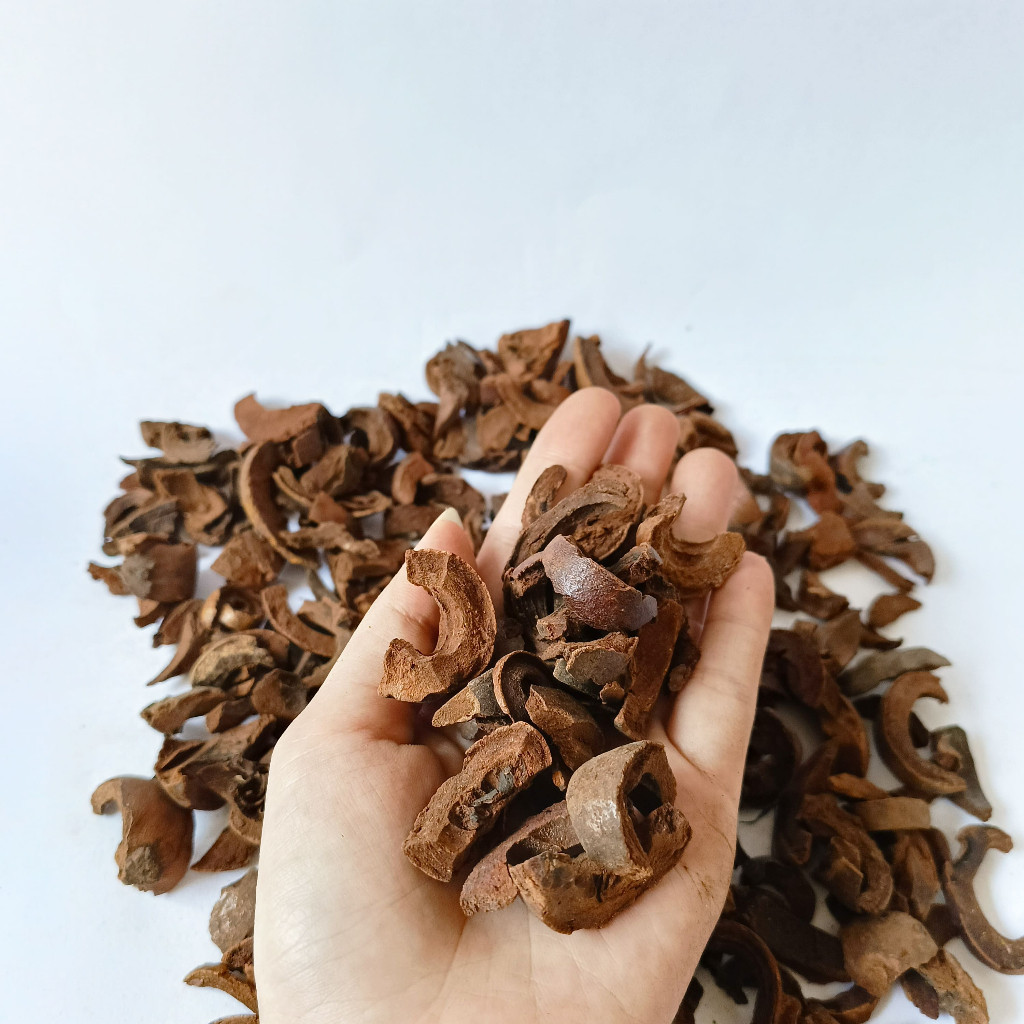 

Kulit Manggis Pemium 100% ALAMI