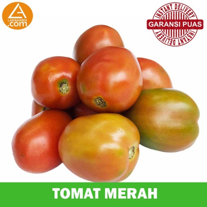 

Tomat Merah Besar 500gr Sayur Segar Garansi Termurah
