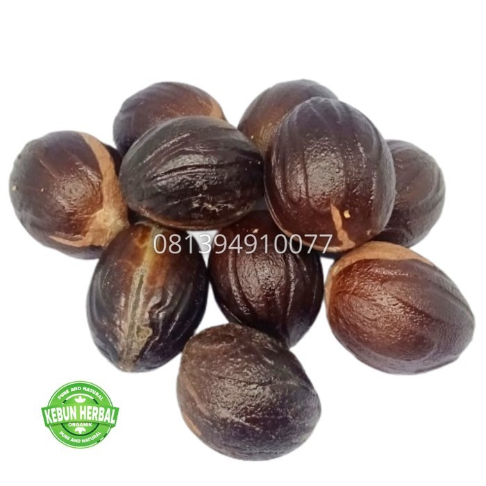 Biji Buah Pala Kering satuan- pala kering Utuh dengan Batok