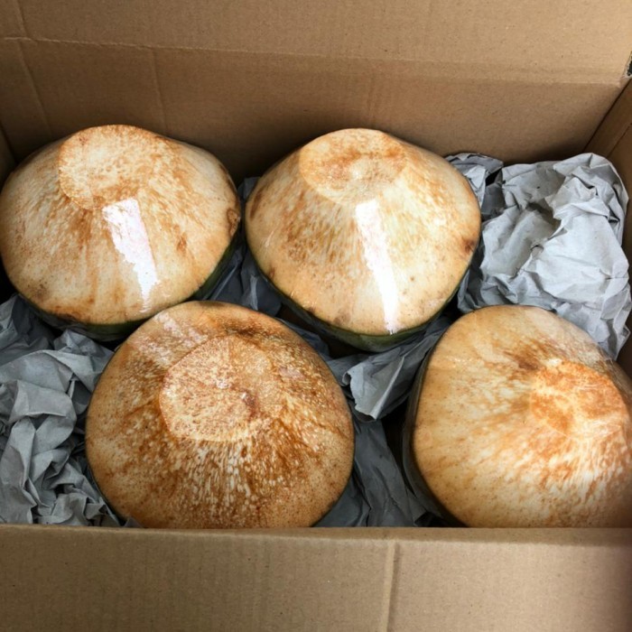 

[Terlaris] Hampers Kelapa Muda - Isi 2 buah