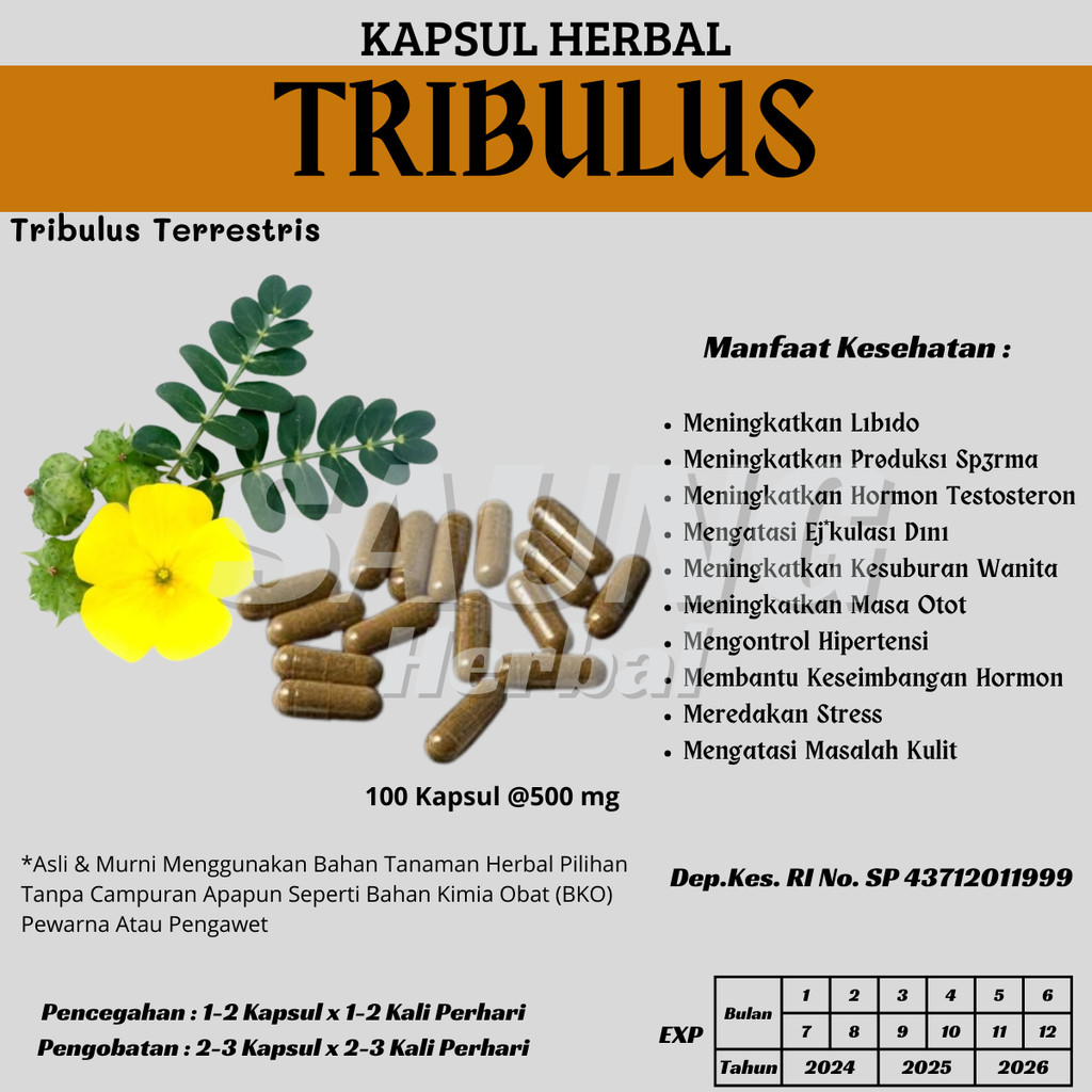 TRIBULUS Kapsul Herbal Stamina & Masa Otot