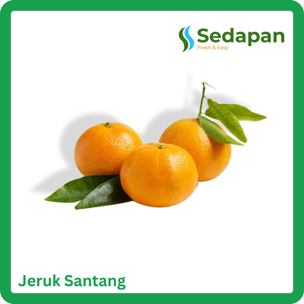 

Jeruk Santang