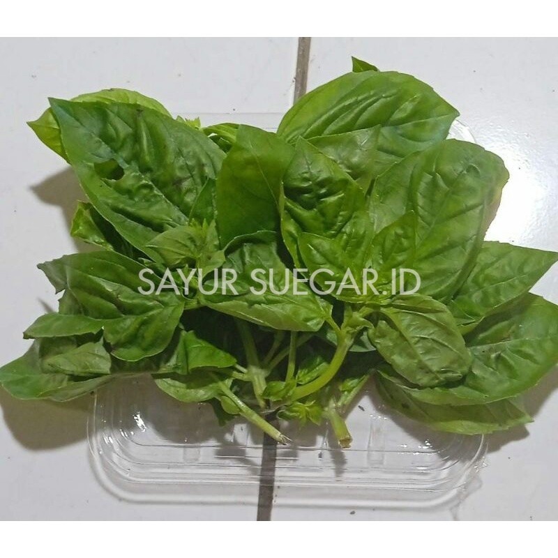 

basil 500 gram