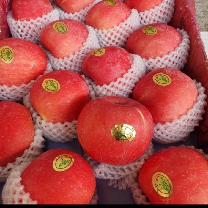 Terlaris ✨ -apel fuji rosy blush premium fresh  1kg