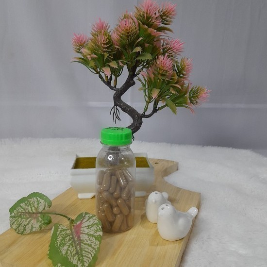 

Kapsul Jamu Penambah HB isi 100 Pure Organik Tanaman Herbal Nusantara
