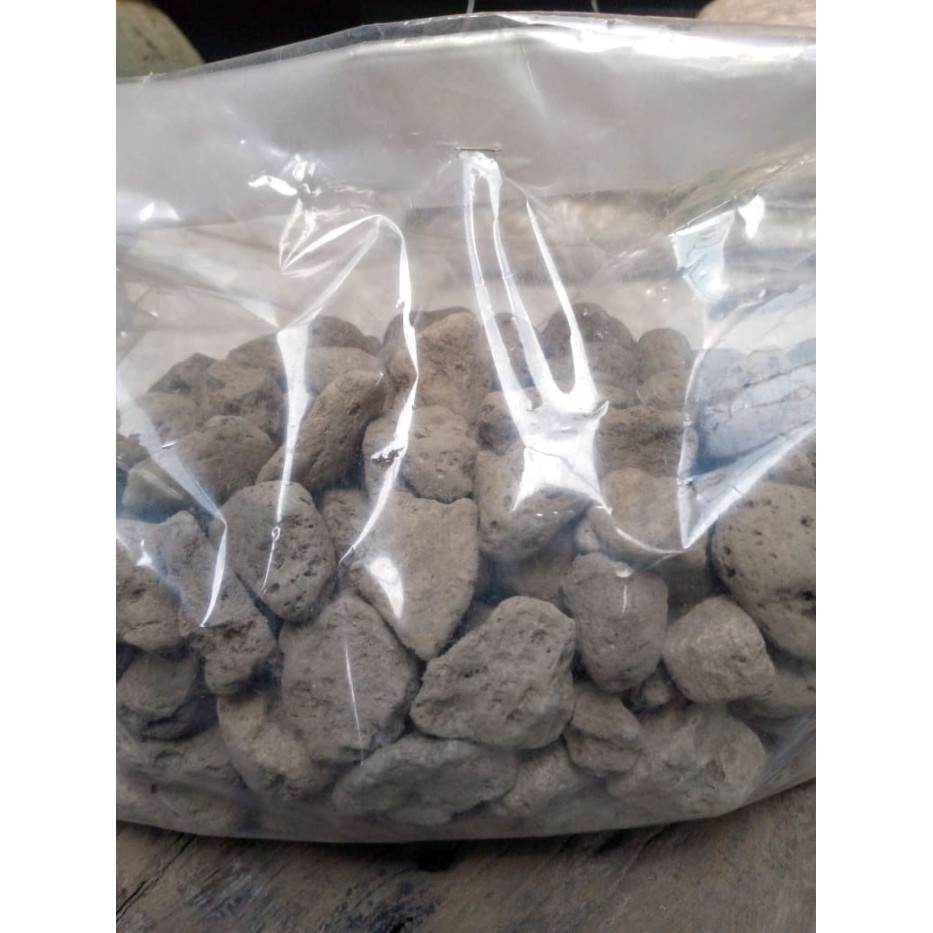PUMICE ROCK BATU APUNG MEDIA TANAM 1KG