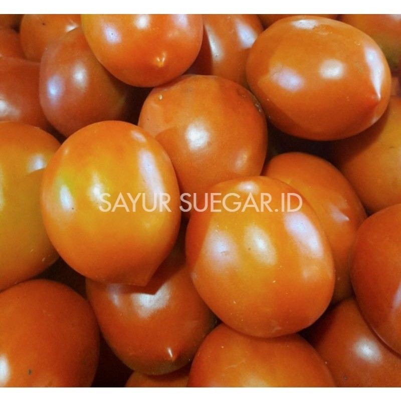 

Tomat Merah/500gr