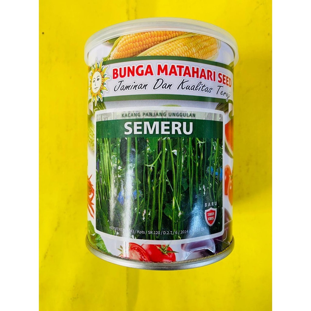 Benih kacang panjang unggulan SEMERU isi 500gr dari BUNGA MATAHARI SEED
