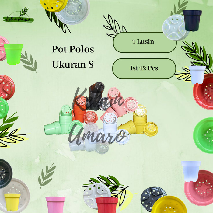 GROSIR 1 Lusin Pot Polos Ukuran 8 / Pot Tinggi / Pot Srondol / Pot Tanaman / Pot Bunga / Pot Plastik / Kebun Umaro