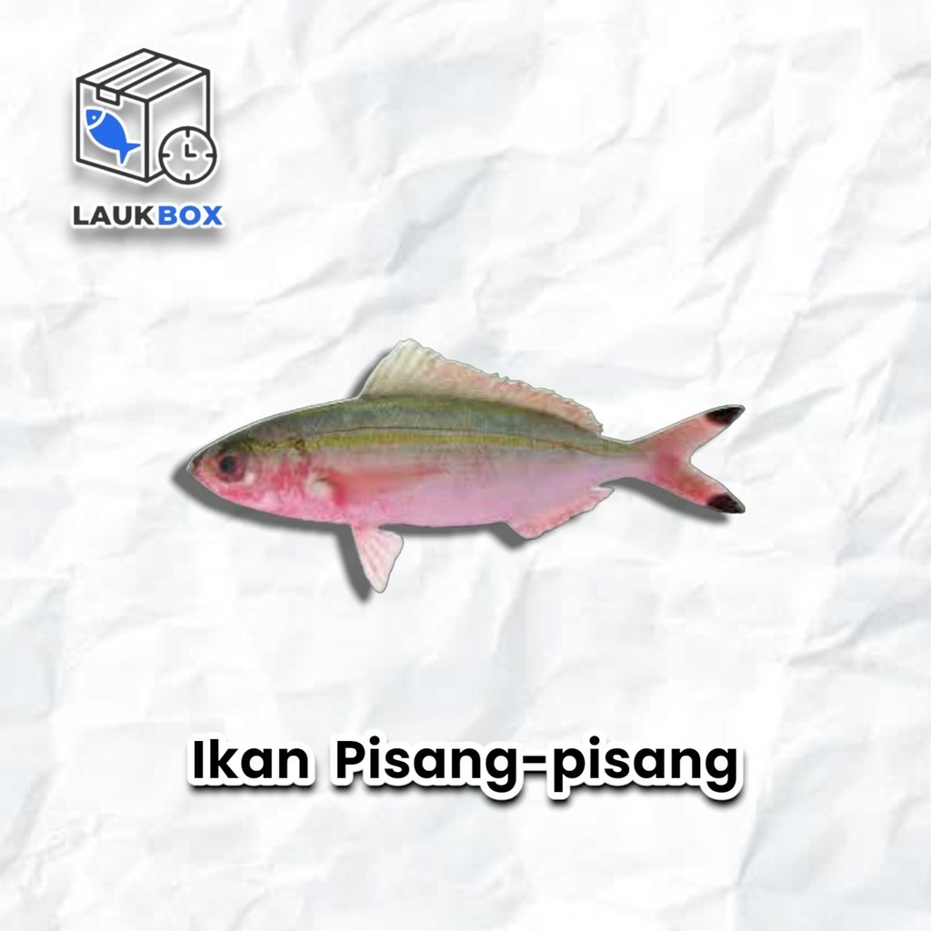 

Ikan PisangPisang