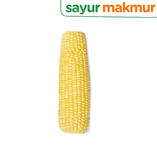 

Jagung Manis Kupas Konvensional 1 pcs Sayurmakmur