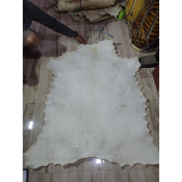 Kulit Kambing Lembaran Untuk bedug, jimbe, marawis, hadroh