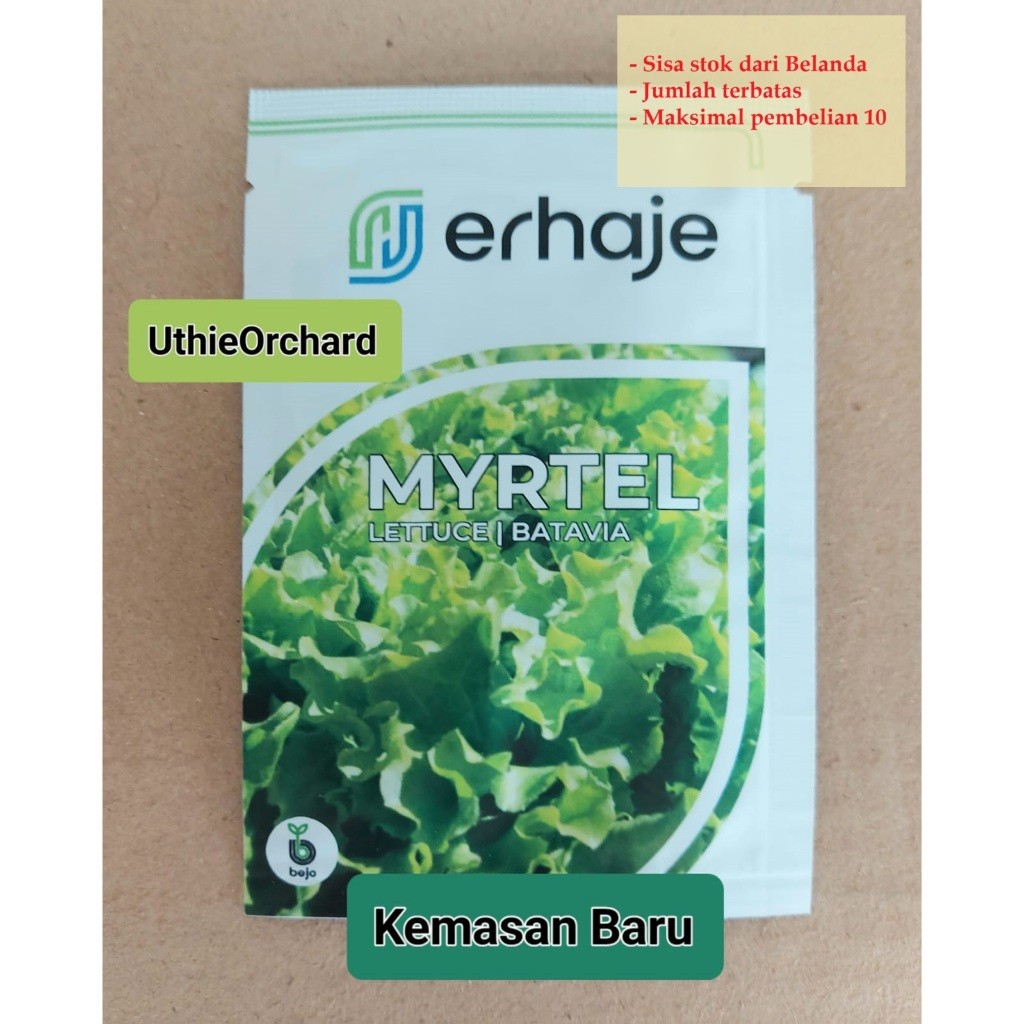 FR54E Benih Bejo Seed - Selada Batavia Myrtel Kemasan asli 1 gr