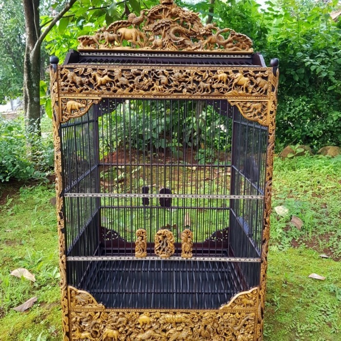 sangkar burung ukiran sangkar kontes sangkat burung jati kotak