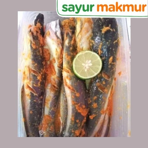 

Banda Lele Fillet Bumbu Kuning 500 gram Sayurmakmur