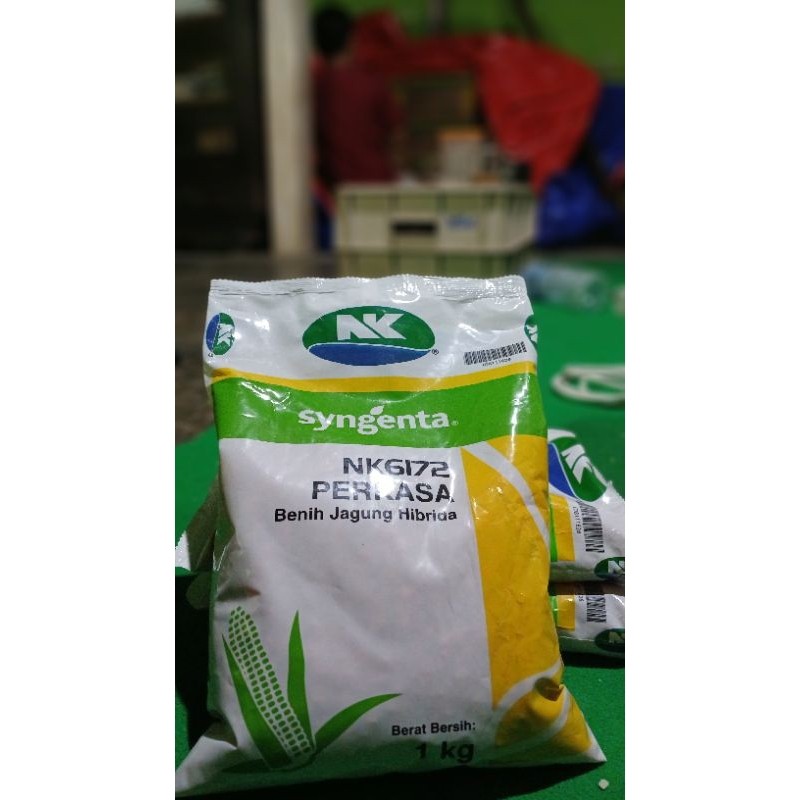vd42wh perkasa #Nk 6172 perkasa #bibit jagung #benih jagung hibrida #benih jagung