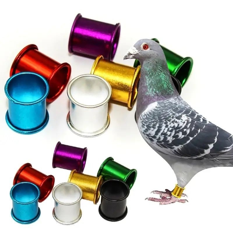 RING BURUNG MERPATI POLOS RODA IMPORT ALUMINIUM
