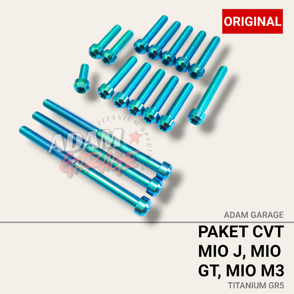 BAUT TITANIUM GR5 CVT YAMAHA MIO J MIO M3 MIO GT 17PCS ADAM GARAGE