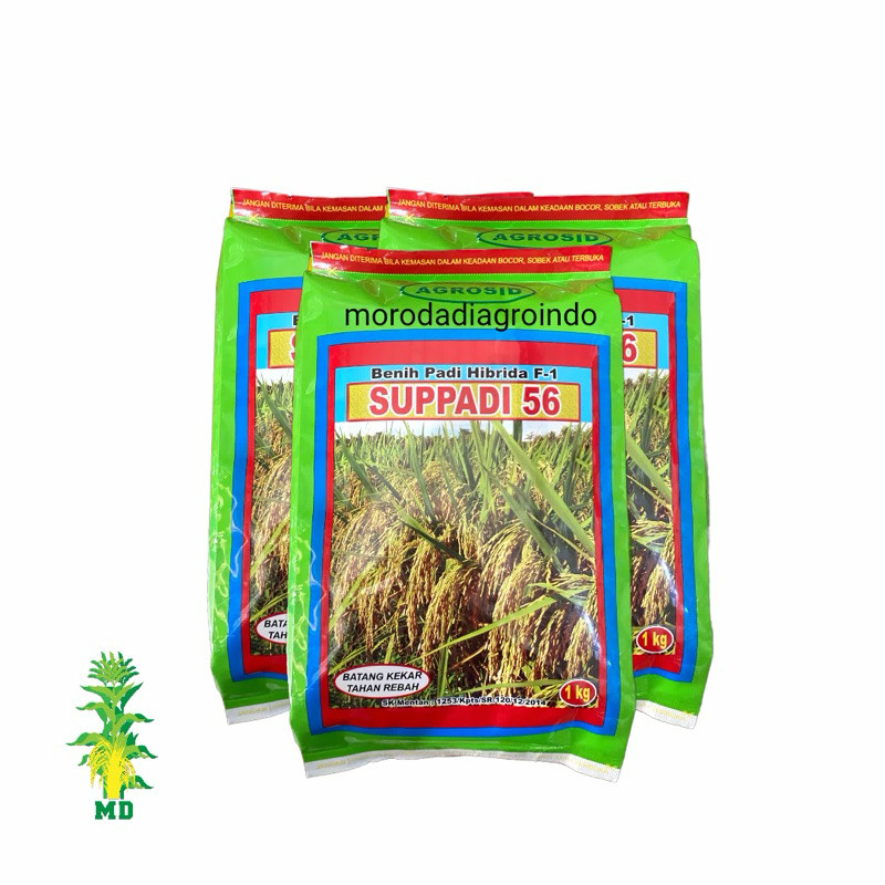 SPESIAL PROMO Benih Padi Hibrida SUPPADI 56 kemasan 1kg, Exp date 06 2027 100% Original.