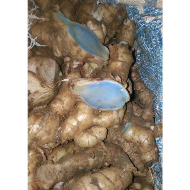 

temu hitam segar alami - temu ireng, 1 kg