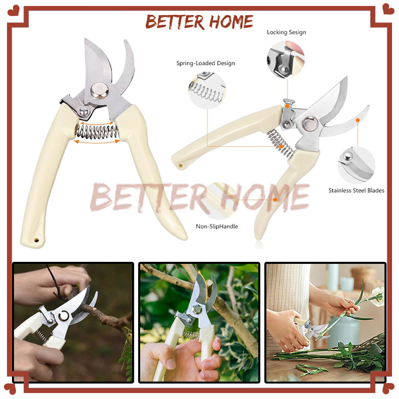 Gunting Dahan Ranting Gunting Kebun Pangkas Dahan Ranting Pohon Daun Lurus Bengkok