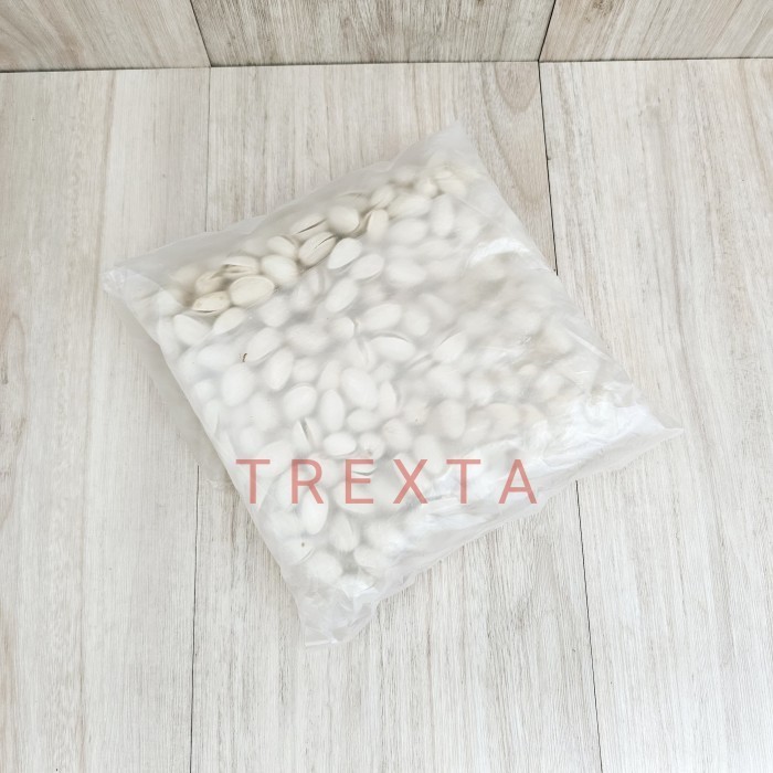 

Kacang Pistachio Panggang / Roasted Pistachio - 100G