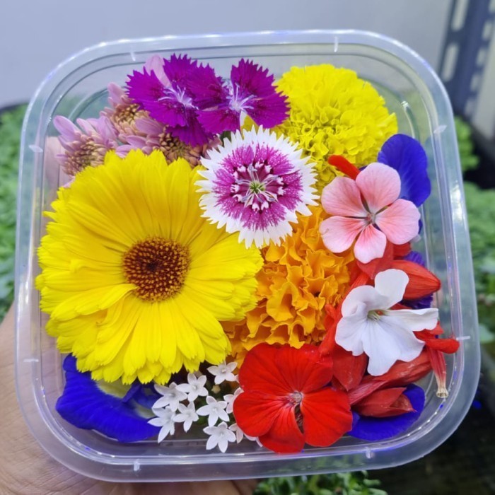 

Mix Edible Flowers Fresh 20 pcs