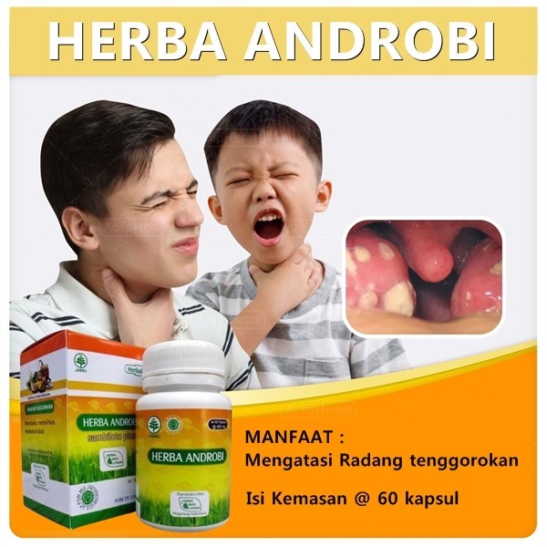 Obat Radang Tenggorokan Dewasa Herbal Untuk Tenggorokan Sakit Menelan Herbal BPOM