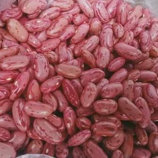

kacang merah 1 kg