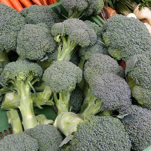 

Brokoli Lokal - Bakoel Sayur Online
