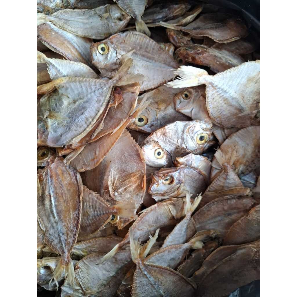 

ikan dokdok tawar besar sedang/petek tawar kering termurah