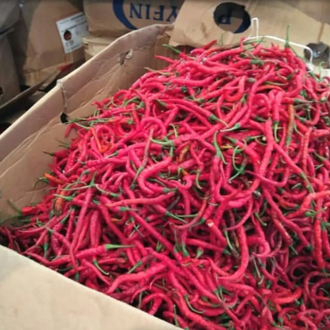

cabe merah keriting 1 kg