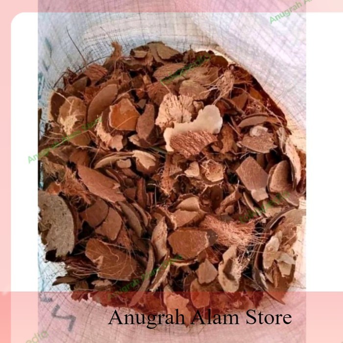 TERMURAH BATOK KELAPA KERING CACAH~UNTUK PEMBUATAN ARANG~BATOK PANGGANG~10KG