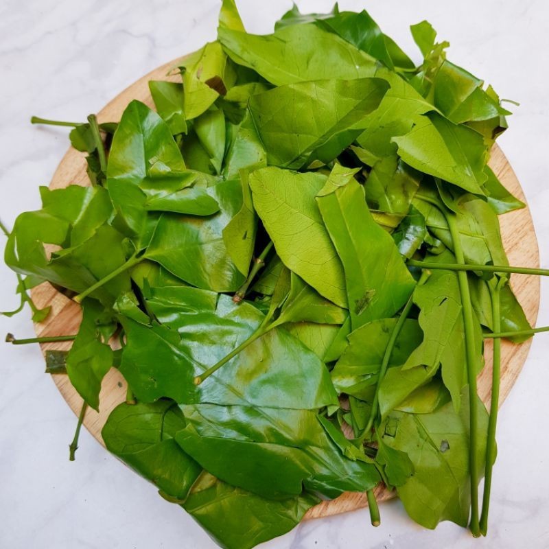 

Syegar Fresh Daun So / Daun Melinjo 50gr