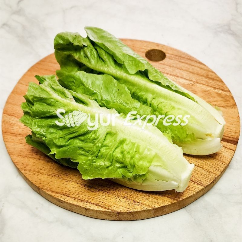 

Syegar Fresh Selada 250gr