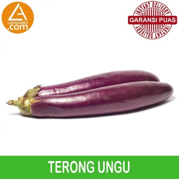 

Terong Ungu 500gr Sayur Segar Garansi Termurah