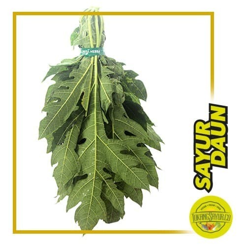 

Daun Pepaya / ikat