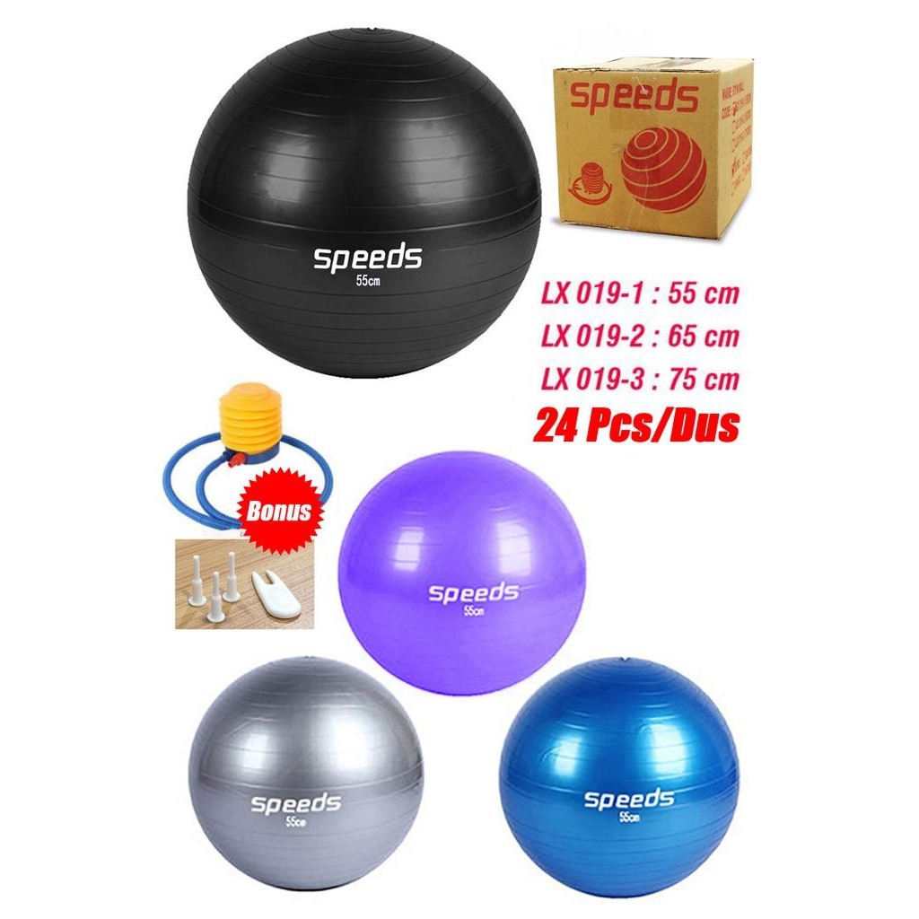 Gymball SPEEDS 65 CM/ gym ball/bola yoga /bola gym SPEEDS BONUS POMPA - silver miyokaid