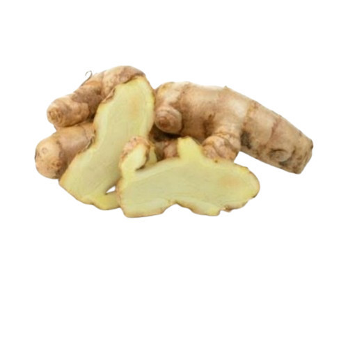 

Hafika Temu Putih Segar 1kg Kunyit Kunir Putih Curcuma Zedoaria murah