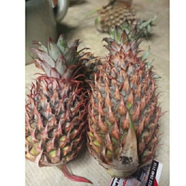 

1 KG NANAS MUDA