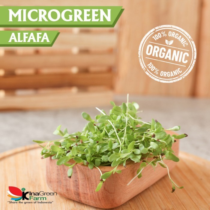

Inagreen Farm Bandung Microgreen Organik Alfafa