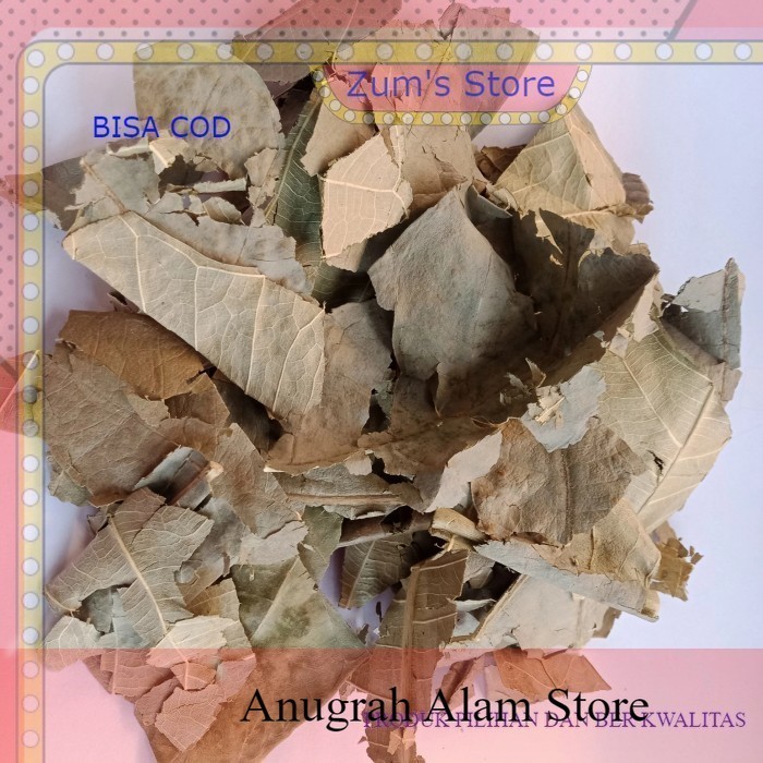 

TERMURAH DAUN SUKUN Kering 1kg Herbal Osteoporosis Jantung Maag Liver Diabetes