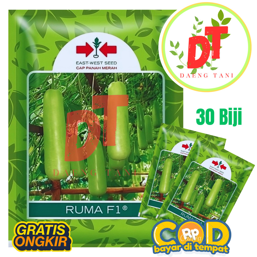 Benih Bibit Biji Labu Air Labu Manis RUMA F1 30 Butir Cap Panah Merah