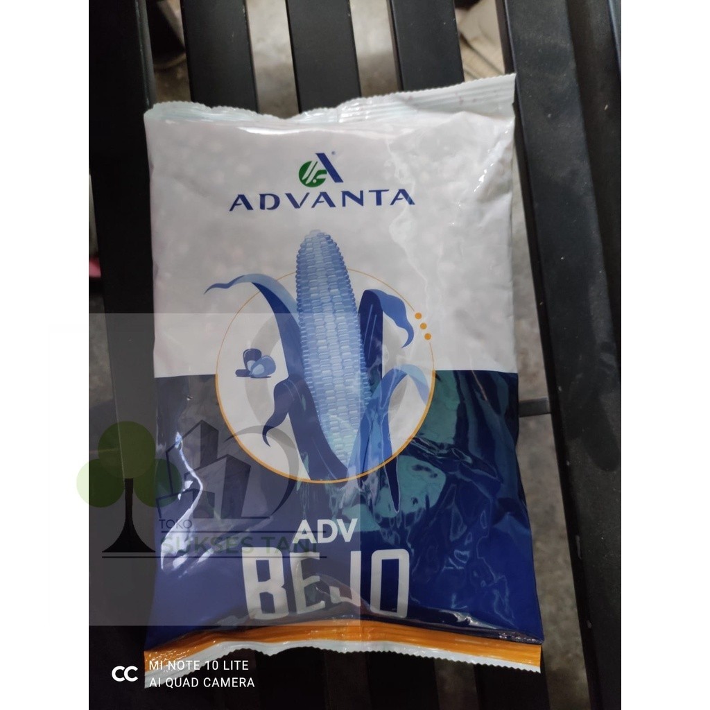 Benih Jagung BEJO isi 1kg dari Advanta