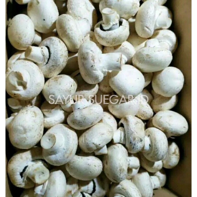 

jamur kancing/champignon 5kg