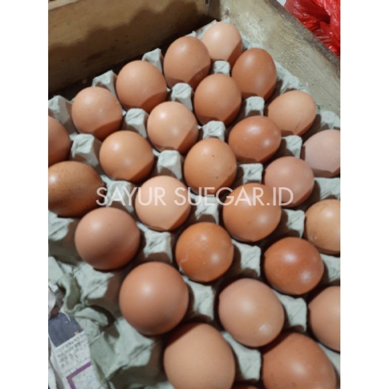 

telur ayam negri 1 kg