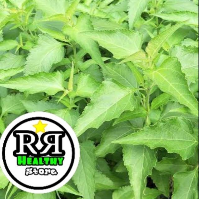 

Hafika Daun kirinyuh segar 1kg