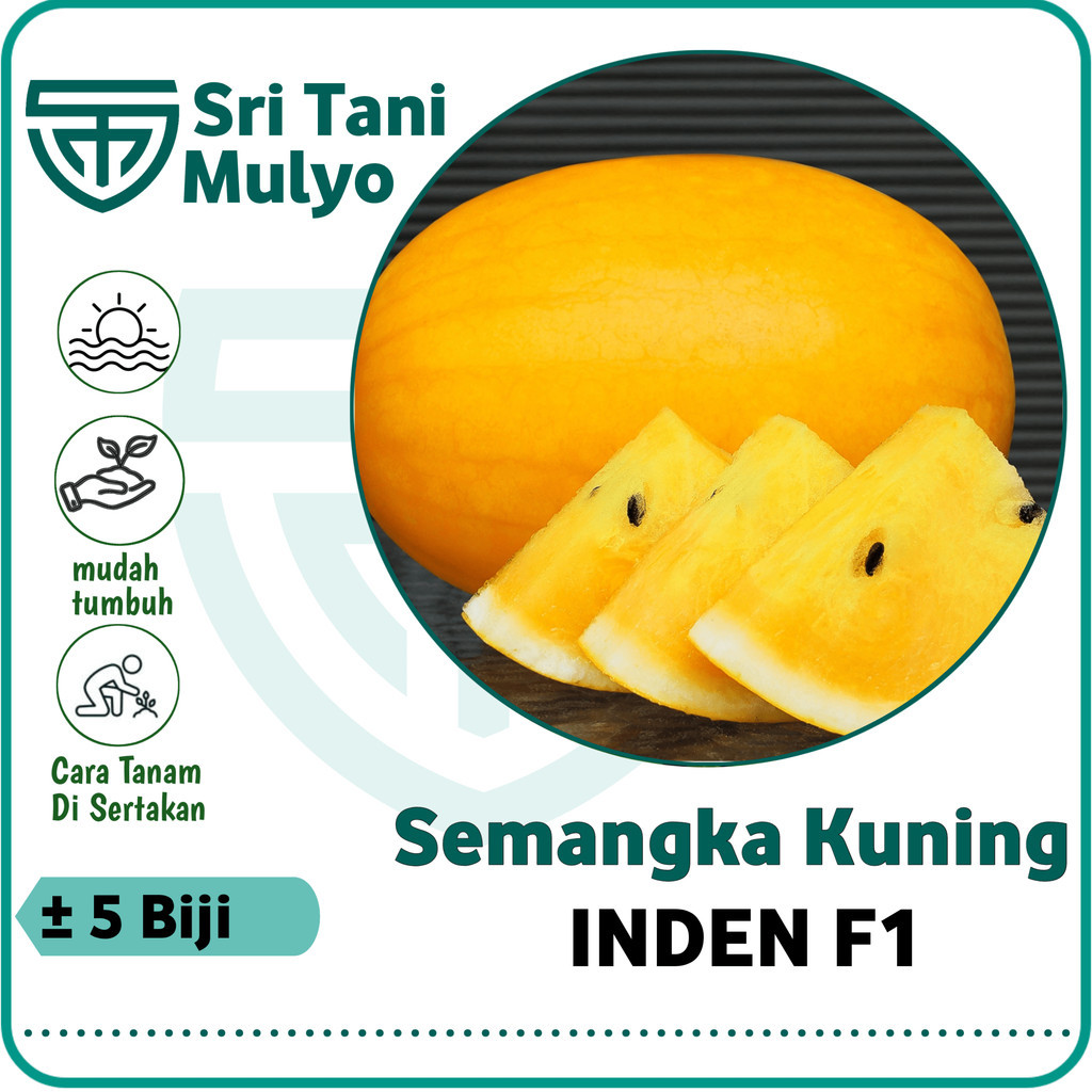 5 Biji - Benih Semangka Kuning Unggul INDEN F1 - Bibit Buah Semangka - Bibit Sayuran Benih Sayuran