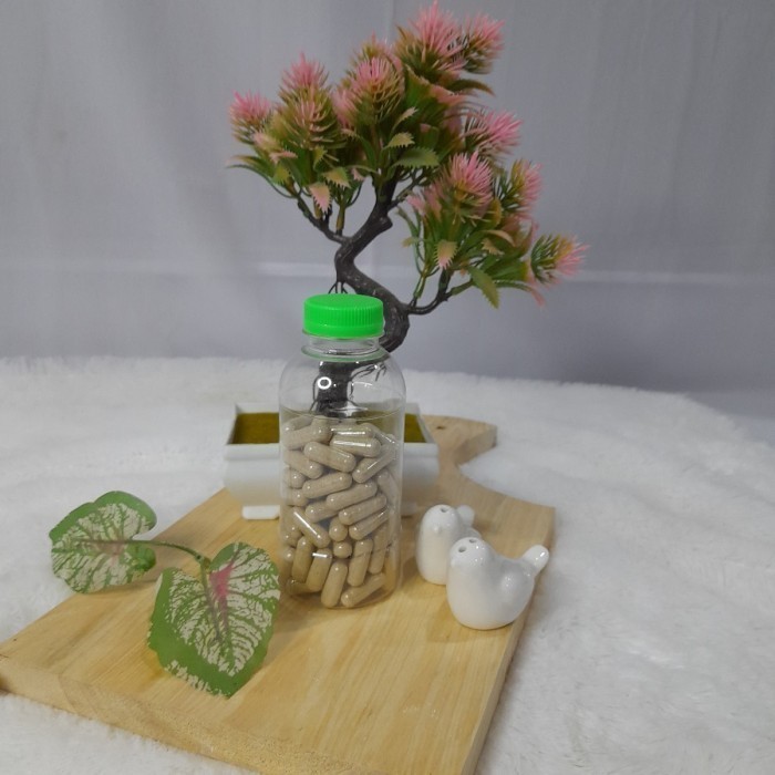 

Kapsul Akar dan Daun Tribulus 100 Kapsul Herbal Nusantara Herbal