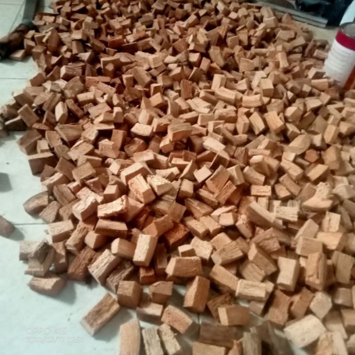 COCOCHIP MEDIA TANAM/COCOCHIP ALAS REPTIL 1KG